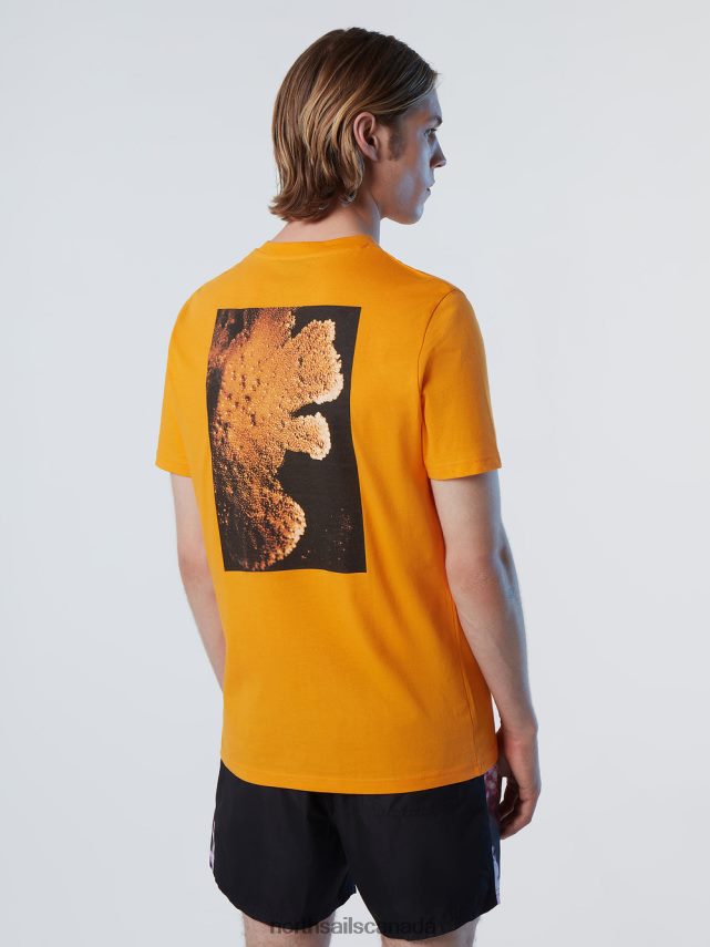 Men North Sails Bright marigold CORAL GARDENERS TSHIRT Clothing 0028HP132
